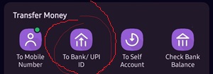 PhonePe Payment